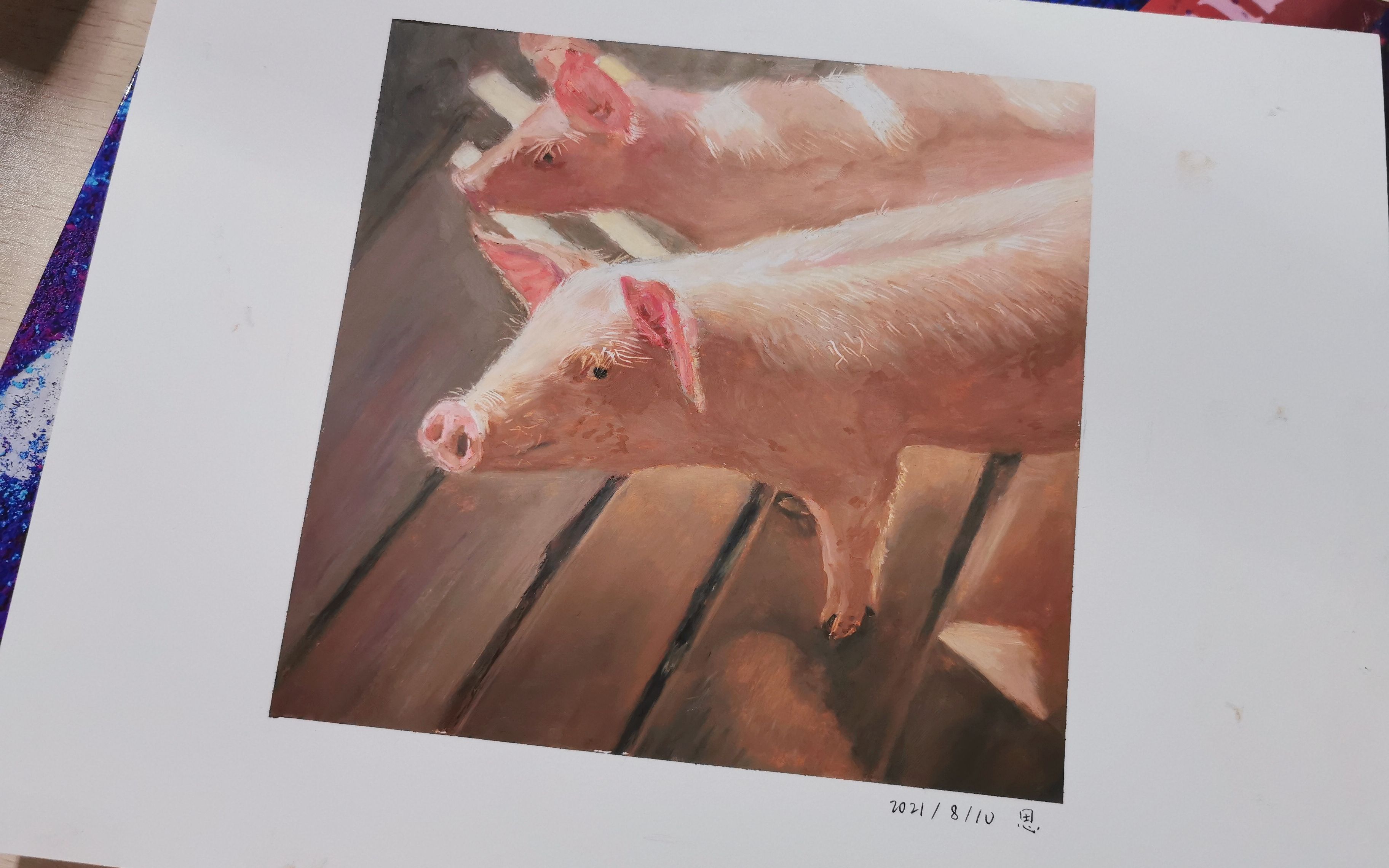 【油画棒】最萌小粉猪,开始更新一些小动物哦,有人喜欢吗~_哔哩哔哩