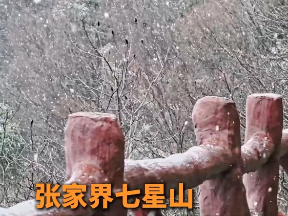 张家界七星山 银装素裹 大雪纷飞哔哩哔哩bilibili