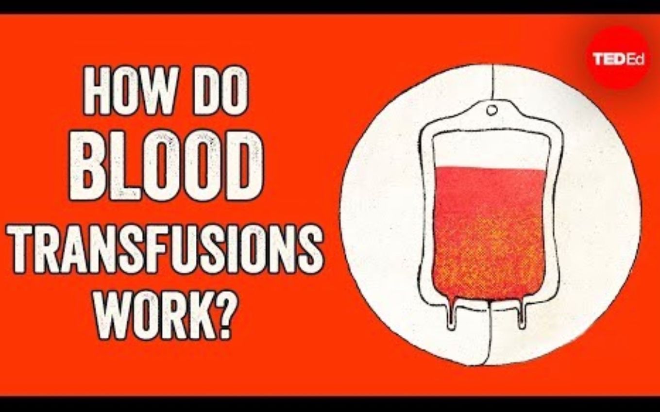 【TedED】输血的运作原理 Blood Transfusions哔哩哔哩bilibili