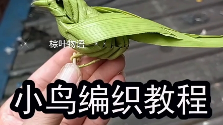 很立体的树叶小鸟要不要学一下,潘老师棕编小鸟