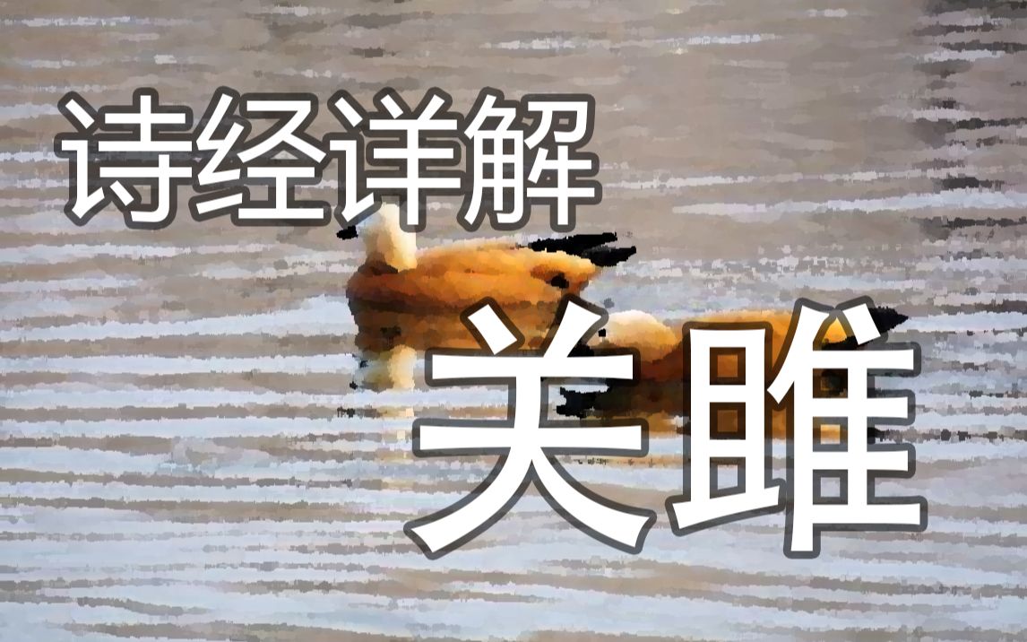 【诗经详解】关雎哔哩哔哩bilibili