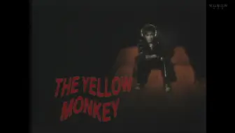 The Yellow Monkey 花吹雪16 横浜アリーナspecial公演 哔哩哔哩 Bilibili