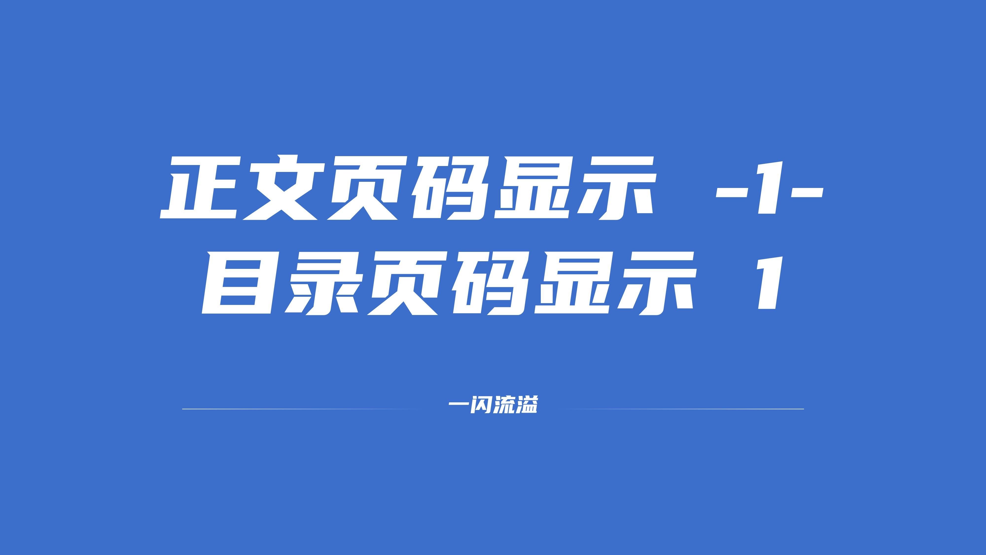 正文页码和目录页码显示两种格式哔哩哔哩bilibili