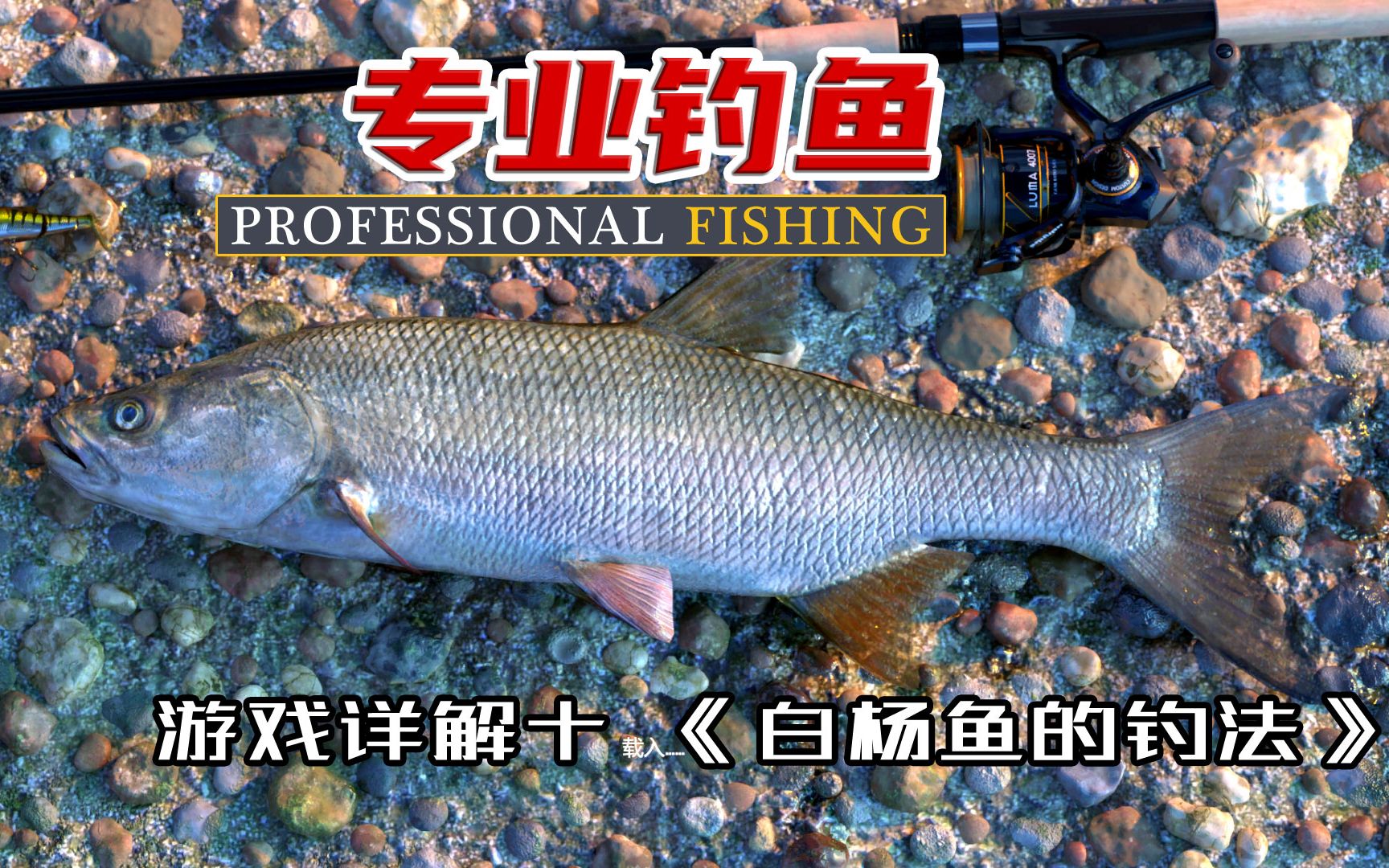 [图]《专业钓鱼》|《Professional fishing》游戏详解十 白杨鱼的钓法