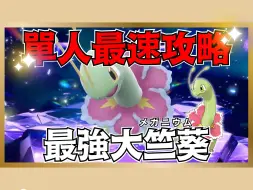 Download Video: 【朱紫活动】单人最速攻略！ 最强『大竺葵』挑战！ 推荐宝可梦、配招、努力值详解！