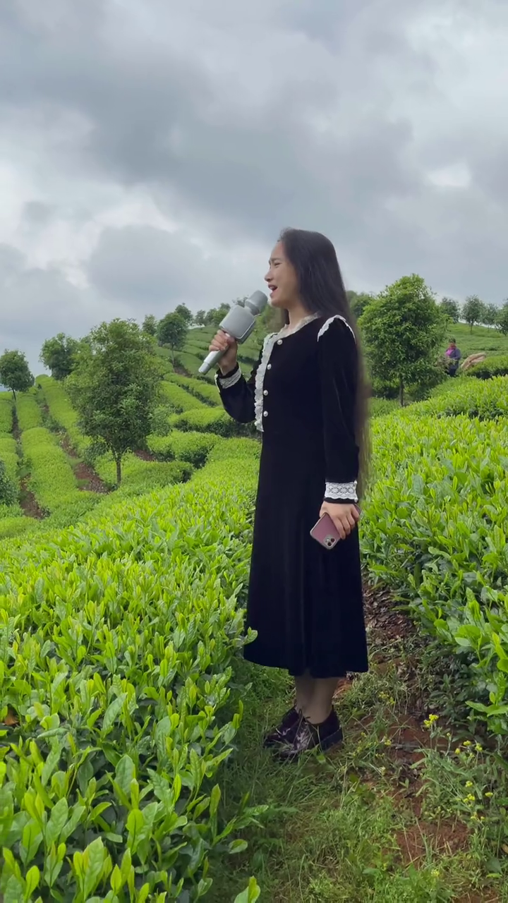 [图]茶山有风情风景自迷人人生有风景跋山涉水自追随来婺源请你们喝好