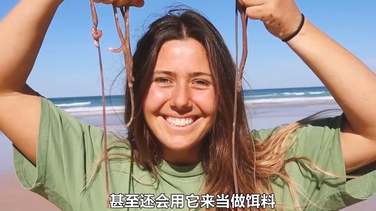 在沙滩上放条小鱼,立马就能引来它的袭击 海滩蠕虫有多可怕?