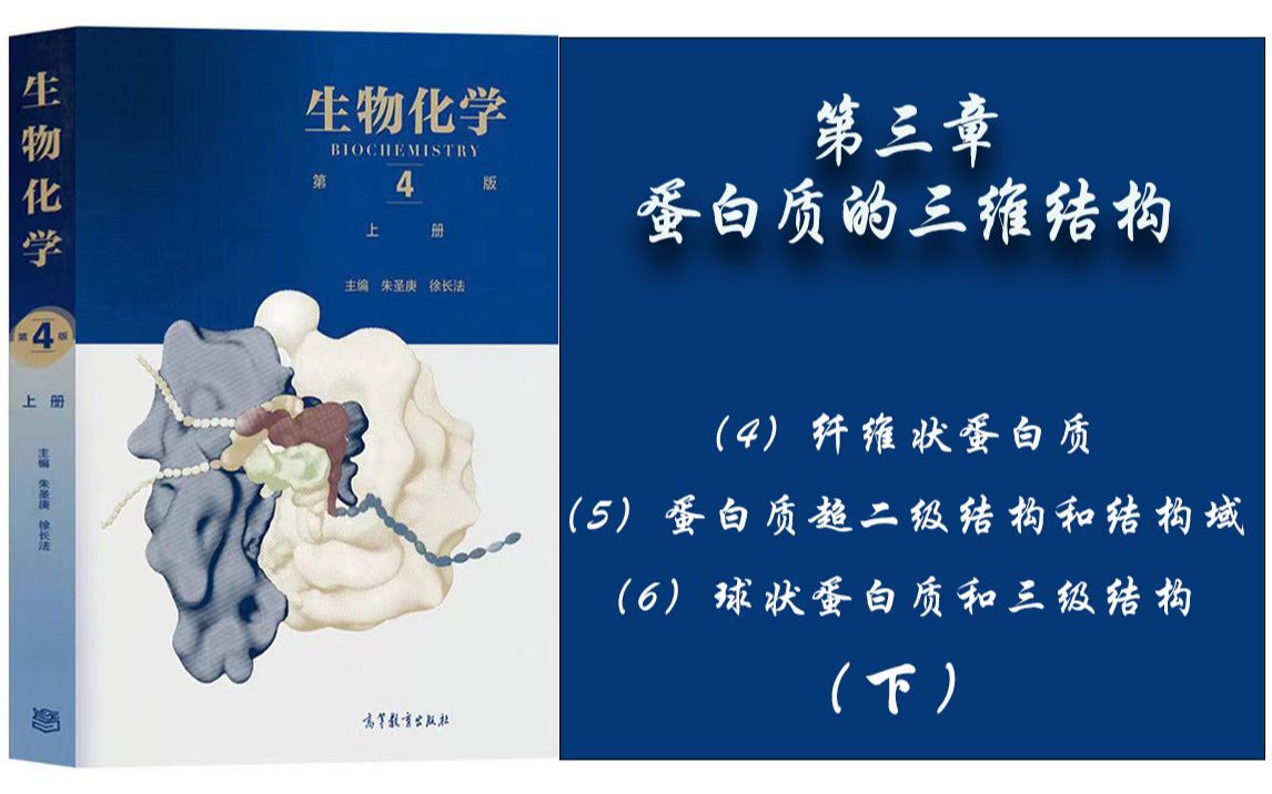 21.生物化学  第三章 (4)纤维状蛋白质;(5)蛋白质超二级结构和结构域;(6)球状蛋白质和三级结构. 下哔哩哔哩bilibili