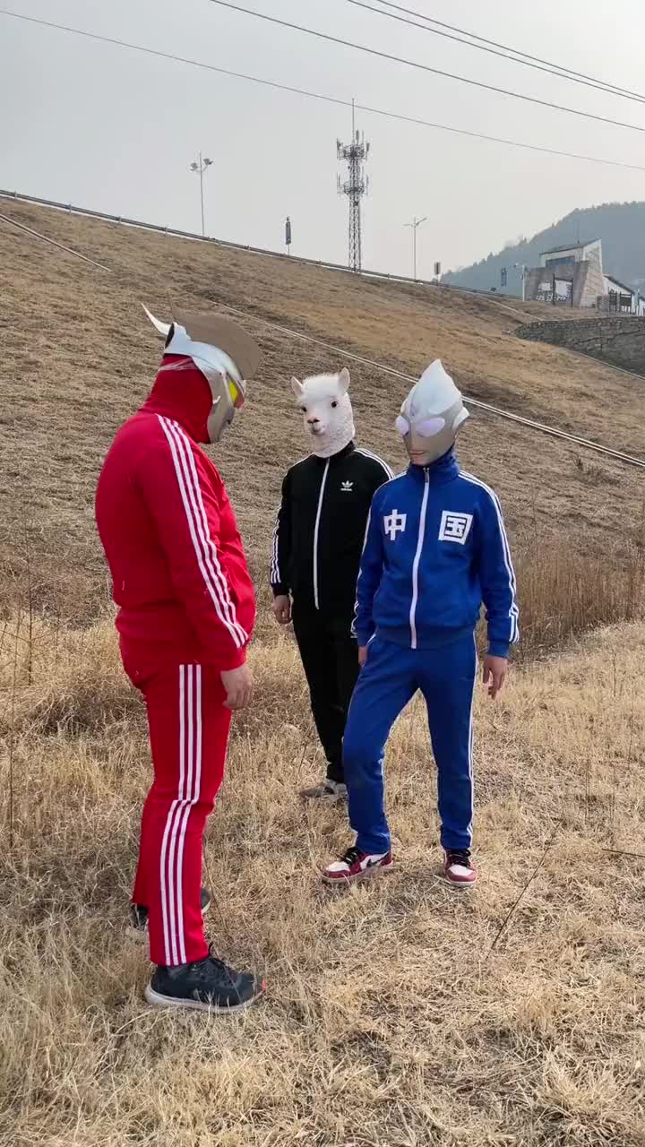 奥特曼 #赛罗 #二次元 没人喜欢赛罗了,因为他太胖了