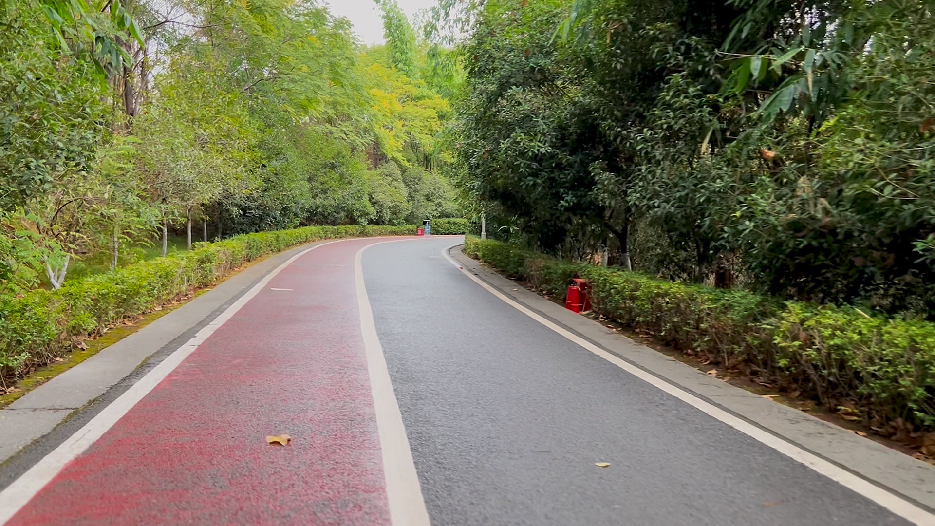 大足区南山公园_哔哩哔哩_bilibili