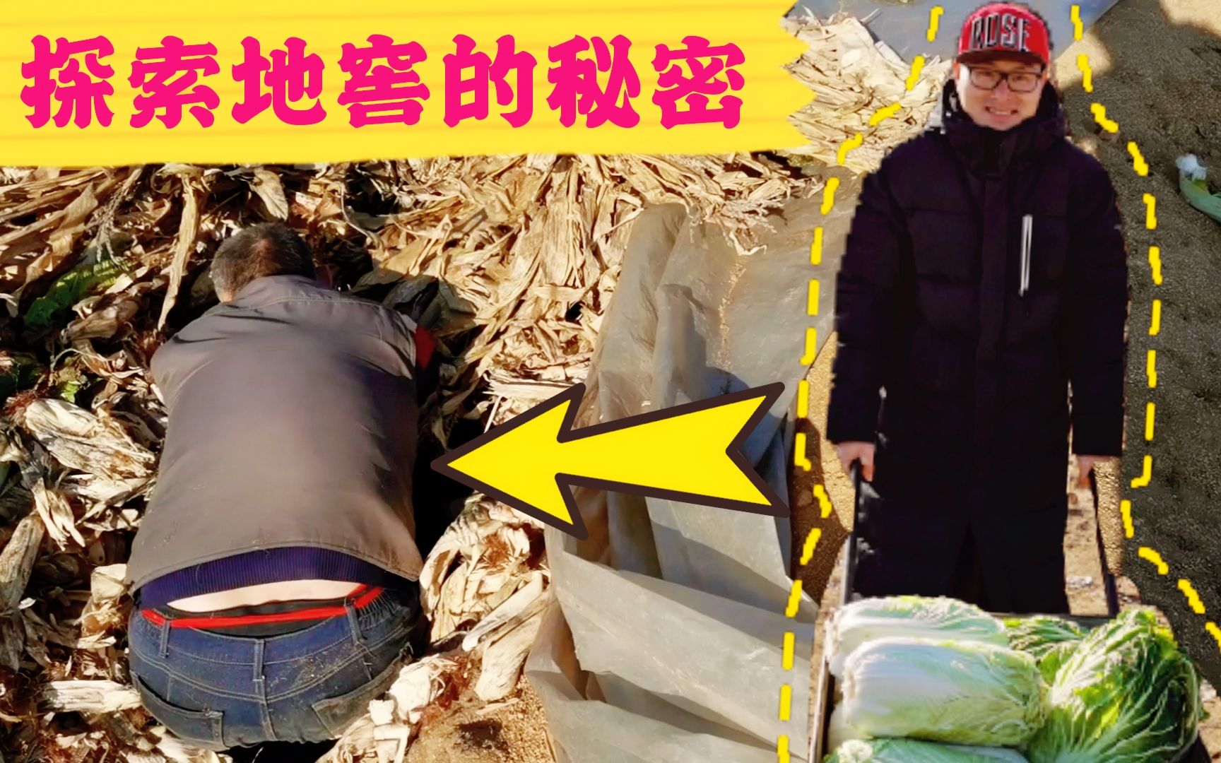 东北的农村家家都有地窖,到底是干嘛用的?大白领你亲临现场观看