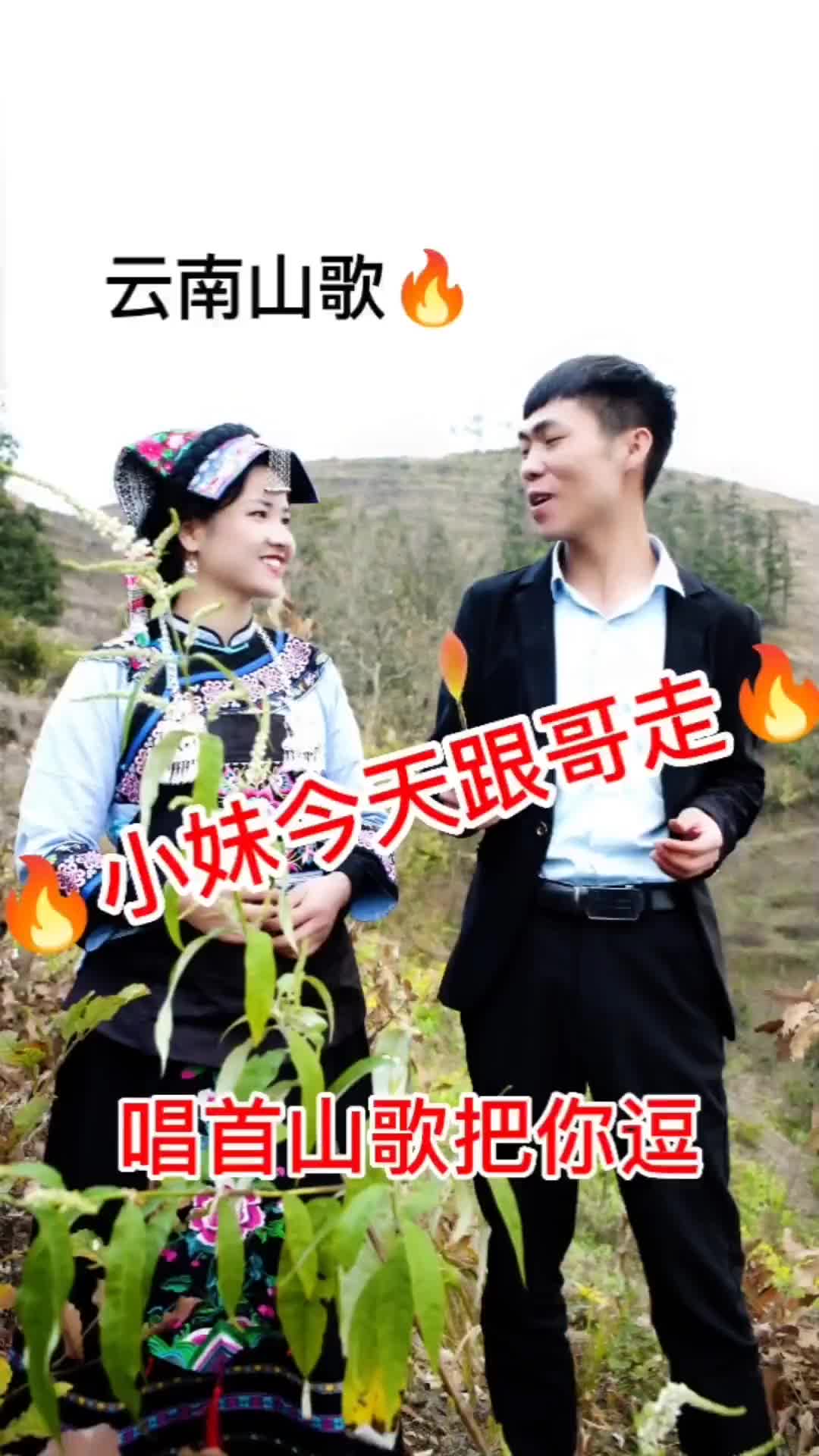 上热门云南山歌一定要看到最后持续关注持续精彩山歌更新了记得点