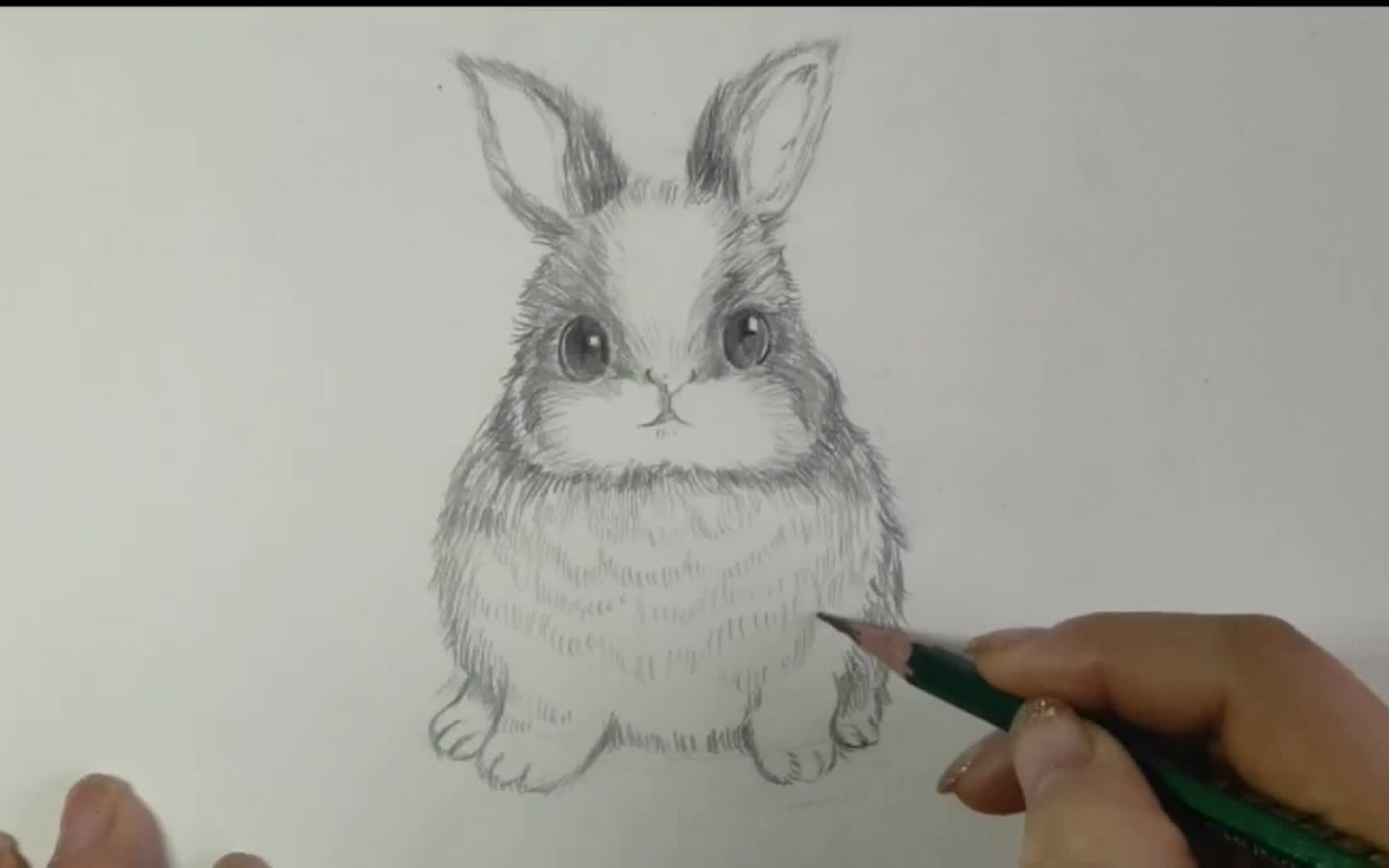 彩铅兔子