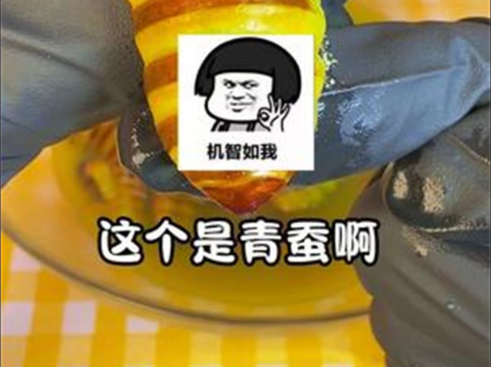 青蚕和蚕蛹的区别是什么?哔哩哔哩bilibili