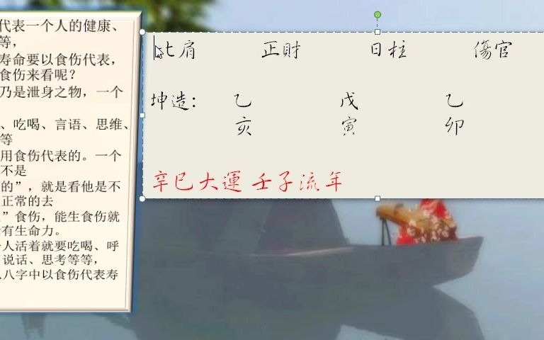 看八字寿元最重食神伤官哔哩哔哩bilibili