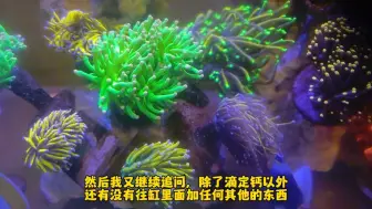 Video herunterladen: 海缸典型例子分析（二）