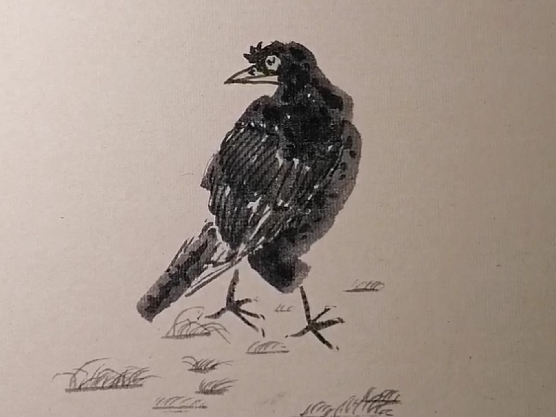 画一幅枇杷八哥图