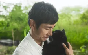 Video herunterladen: 【西岛秀俊】和可爱猫猫的日常合集