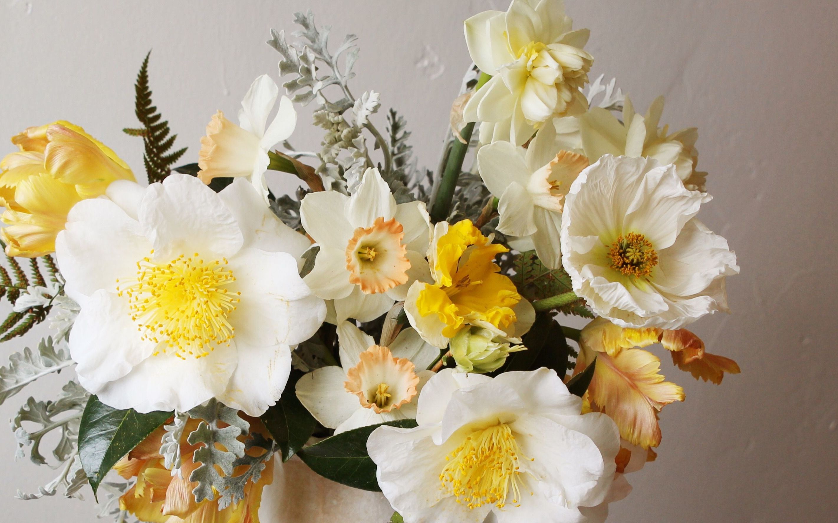 春季花卉搭配 弥补郁金香洋水仙花期太短的遗憾 浅色组品种详情