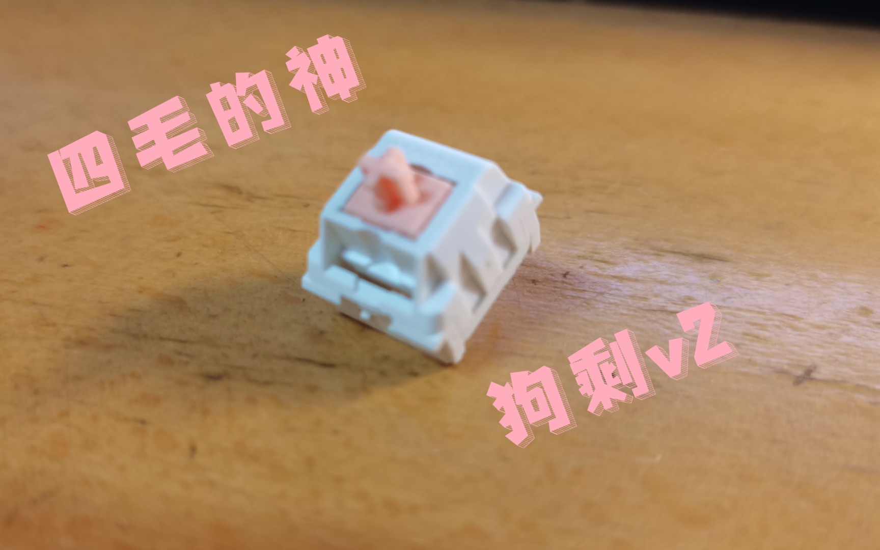 活动作品四毛新神狗剩v2