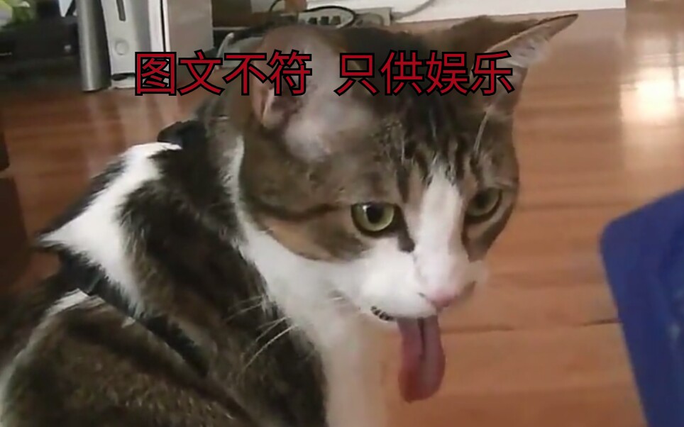 震惊一个萌新竟然敢这样臭不要脸的求赞到底是人性的扭曲还是道德的