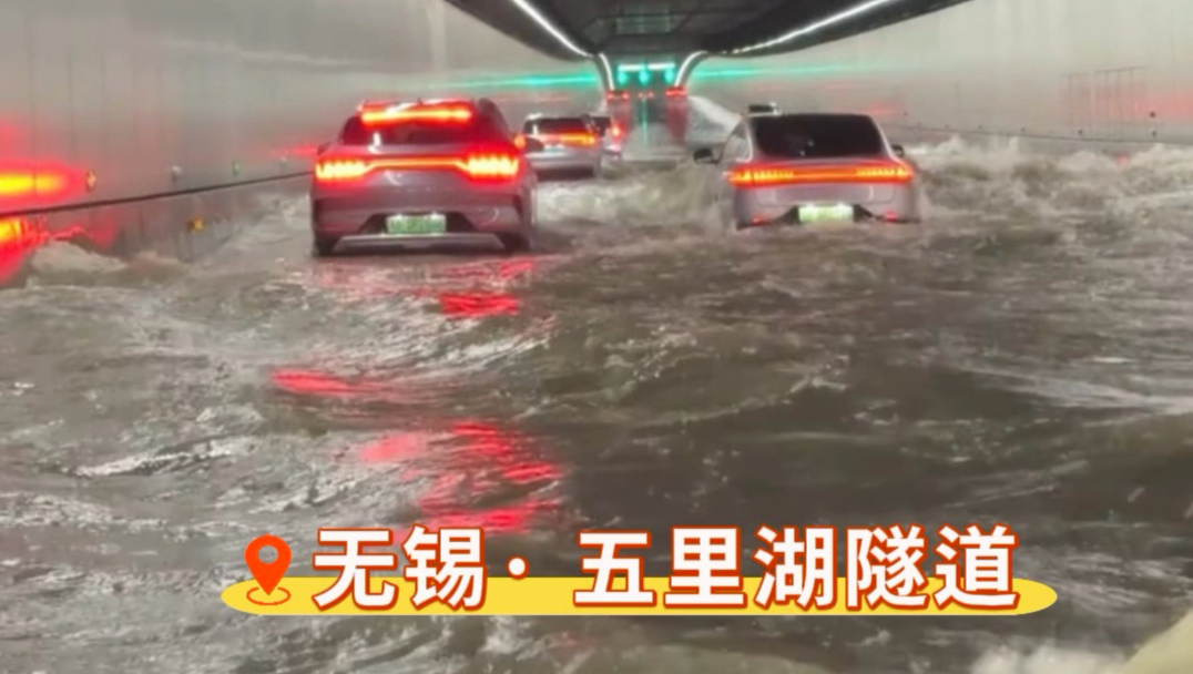 白海豚今天在无锡又封神了😂玩梗归玩梗 大家还是注意安全