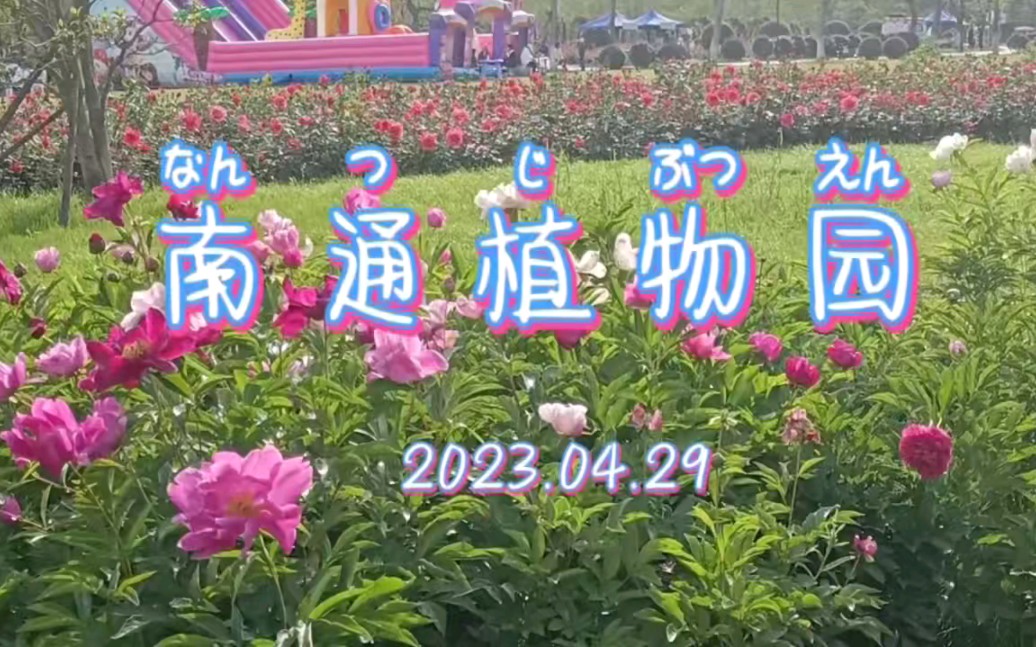 4.29南通植物园
