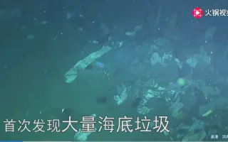 海底垃圾 搜索结果 哔哩哔哩 Bilibili