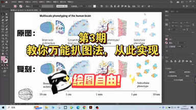 【<em class="keyword">科研绘图</em>第3期】教你万能扒图法，从此实现<em class="keyword">绘图</em>自由！