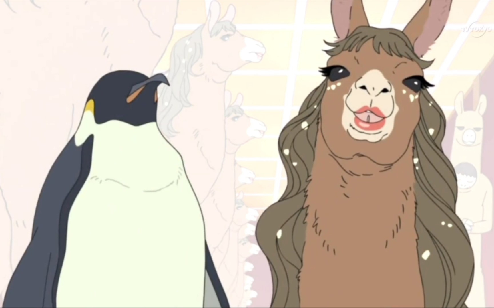 白熊咖啡厅之羊驼咖啡厅