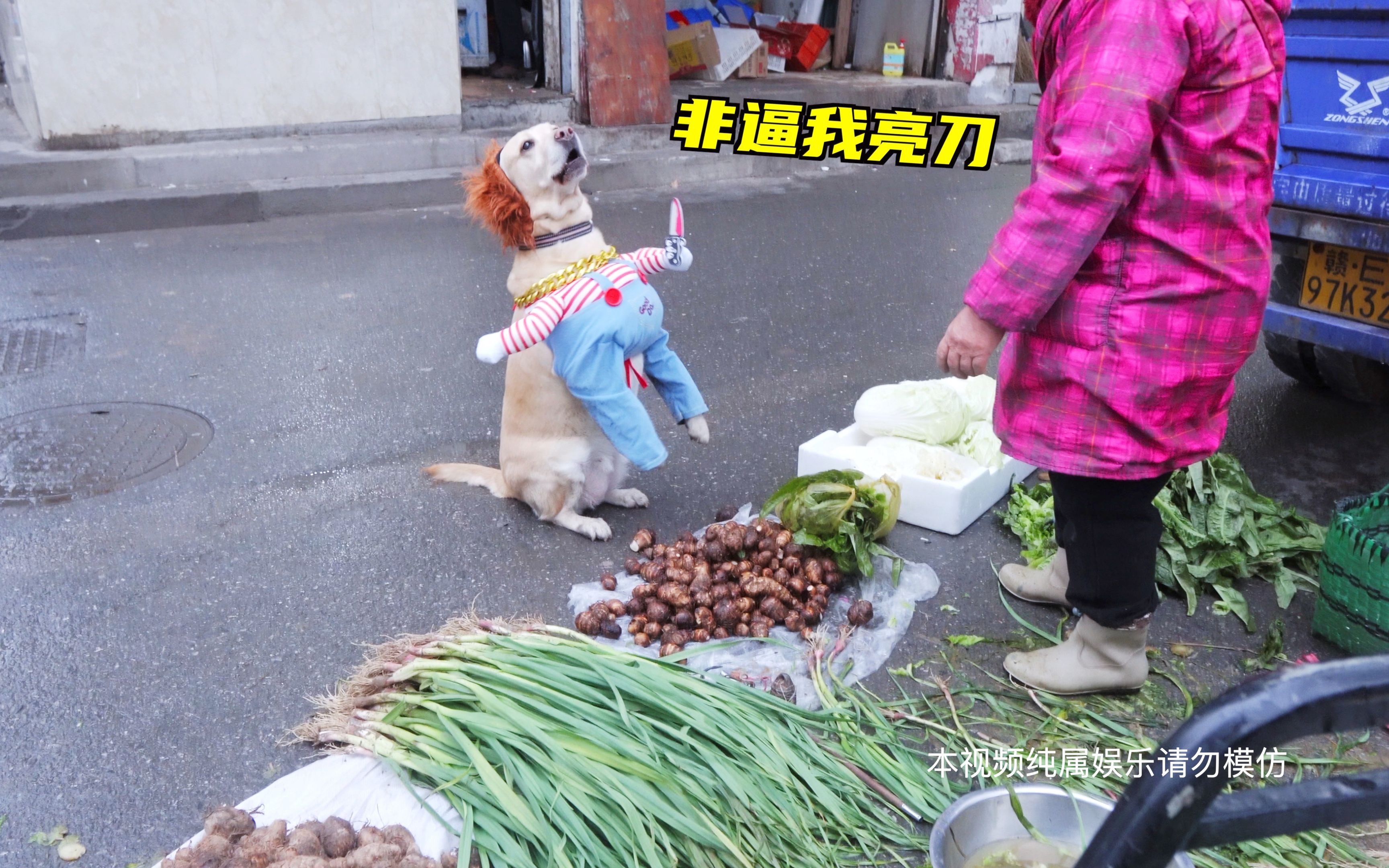 黄毛狗被菜摊老板糊弄,发怒亮刀索赔,事后不忘提醒老板诚信哔哩哔哩bilibili