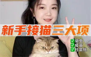 Télécharger la video: 新手接猫三大项：驱虫&疫苗&社会化训练怎么做？该按什么顺序？有哪些注意事项？