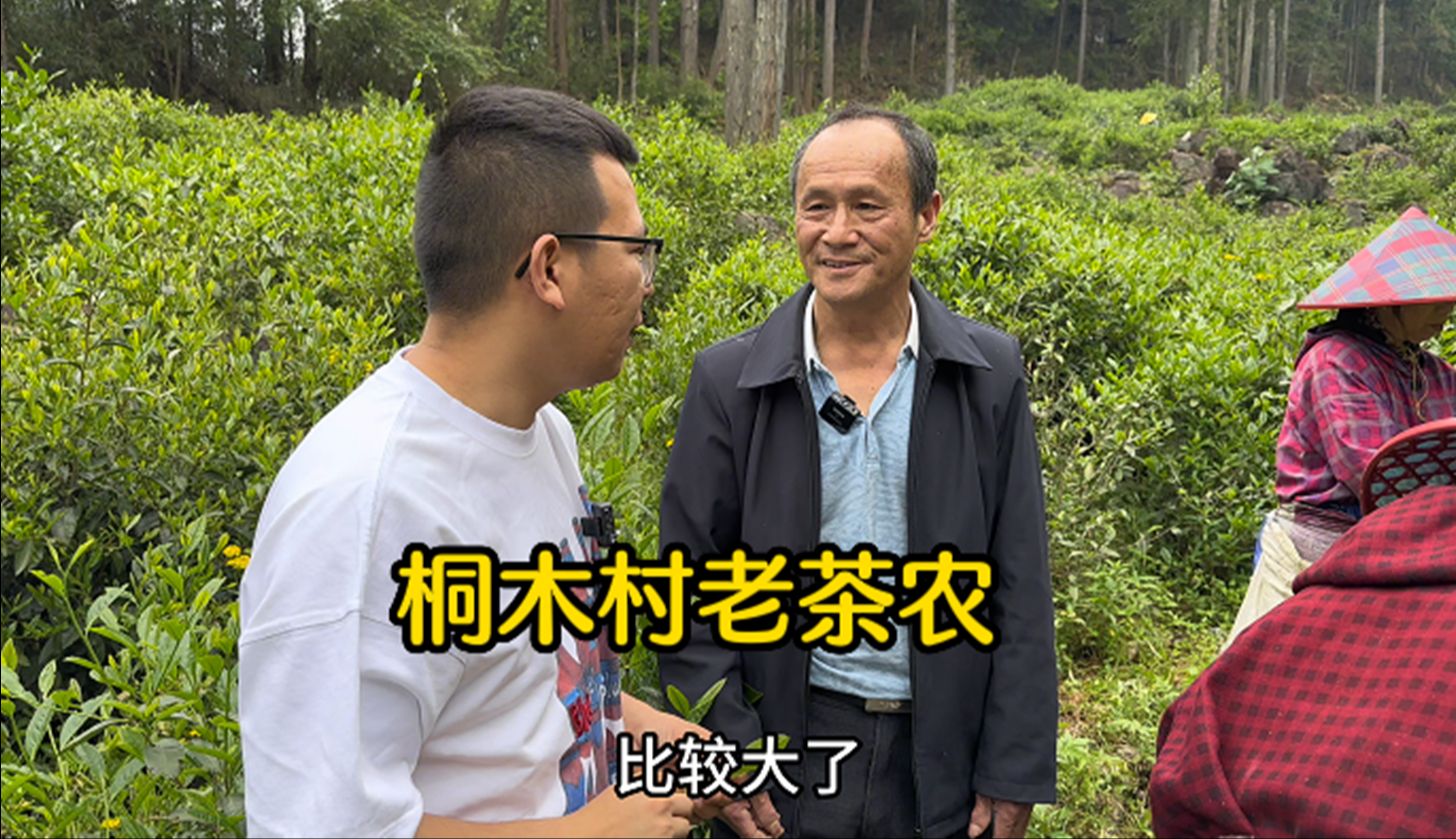 桐木村老茶农徐善维,外号猴哥,来听听他的故事哔哩哔哩bilibili