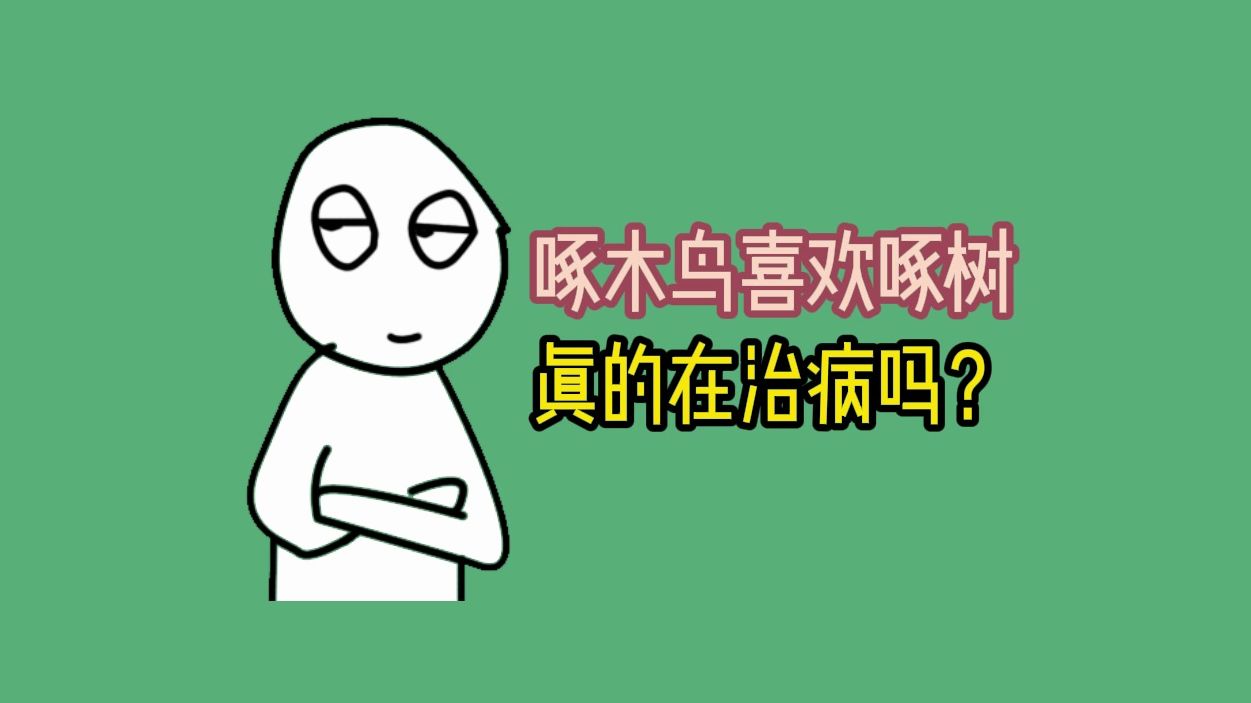 啄木鸟喜欢啄树真的是在治病吗?哔哩哔哩bilibili