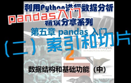 5.【Python数据分析学习分享】:pandas入门(二)索引和切片哔哩哔哩bilibili