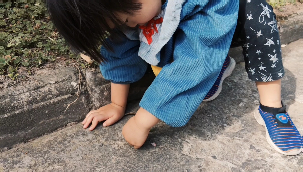 三岁小孩抓蝴蝶