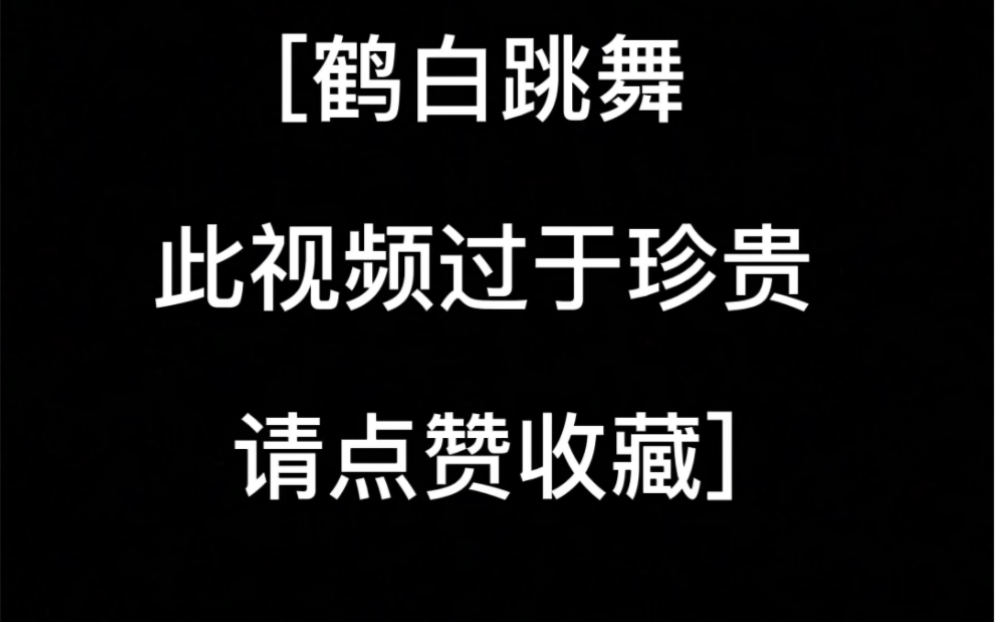 鹤白跳舞网络游戏热门视频