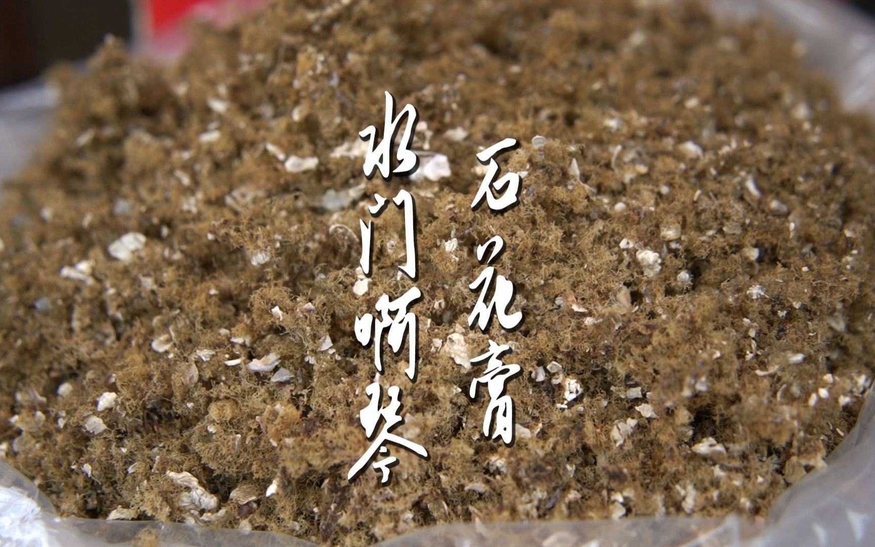 【泉州城记】琴姐石花膏——泉州石花膏我帮你们找到啦赶紧打卡get!哔哩哔哩bilibili