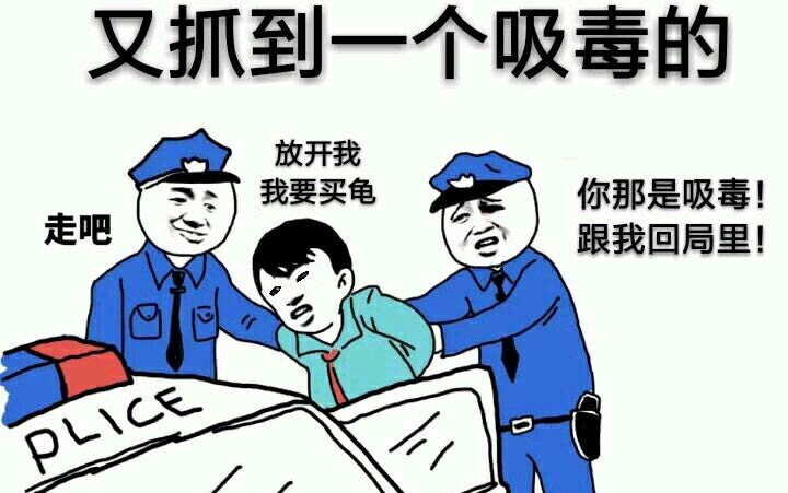 【中药养龟②】主要是关于日常使用的中药哔哩哔哩bilibili