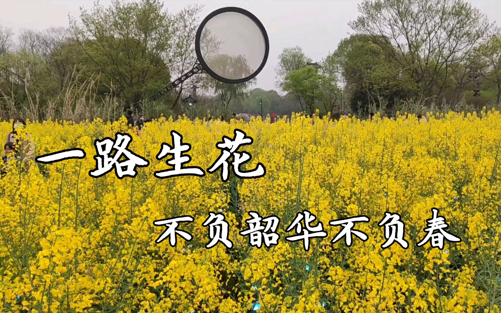 [图]一路生花，不负韶华不负春。所谓春天到，百花开，不管是乡野田间地头的油菜花，还是城市道路上的樱花，亦或是郁金香、桃花、梨花等等，大自然到处都是春天的味道