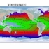 Argo数据集 海水分层温度和盐度分布
