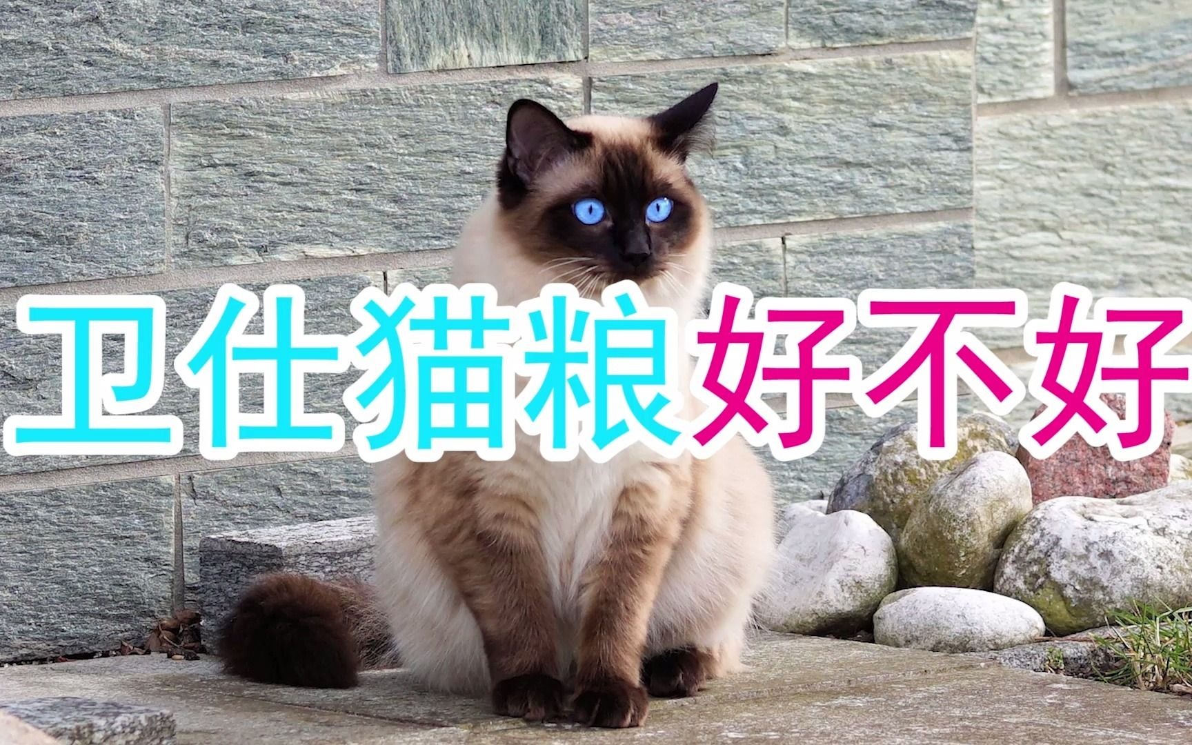 卫仕猫粮好不好哔哩哔哩bilibili