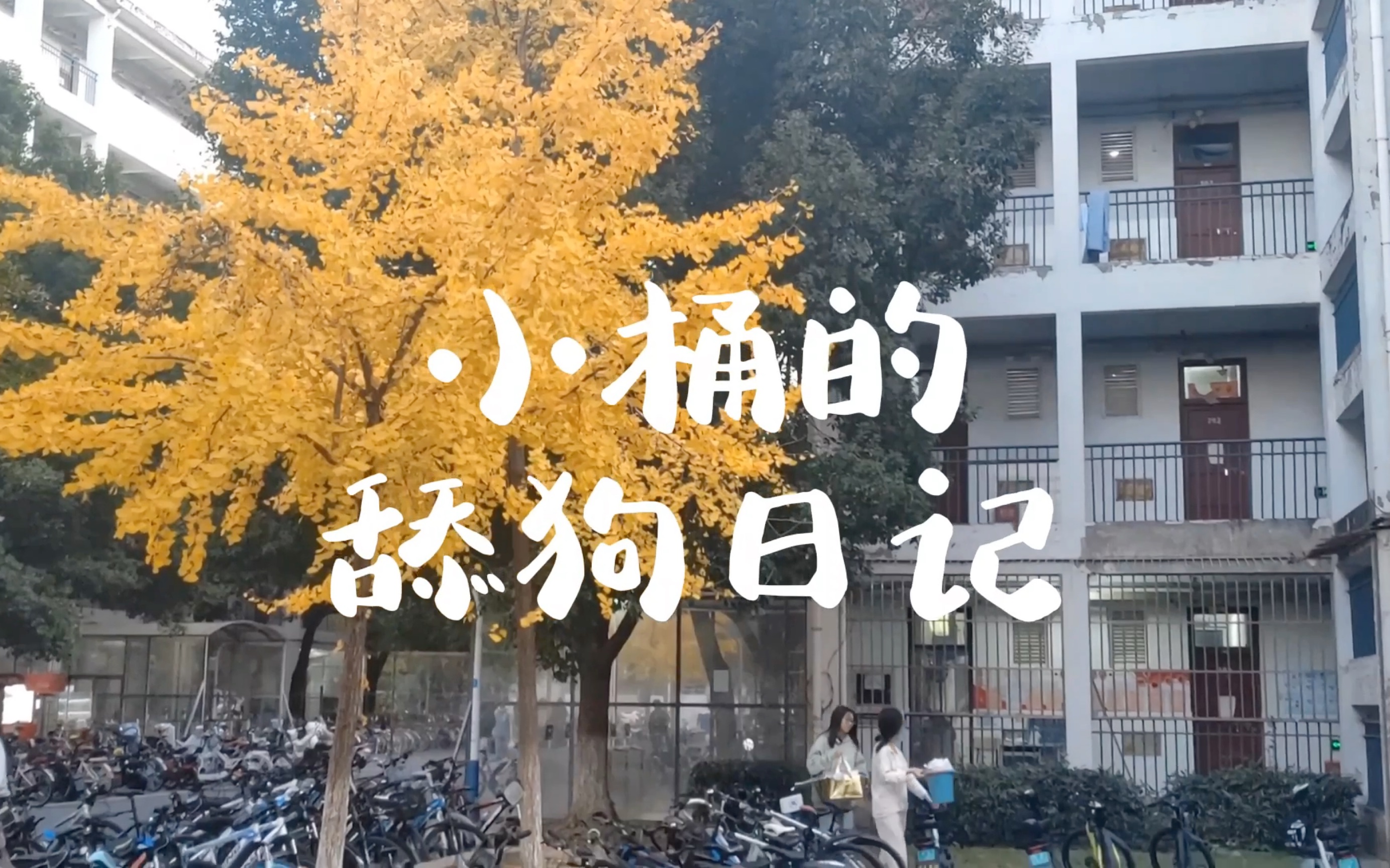 [图]小桶的舔狗日记——大学生心理微电影