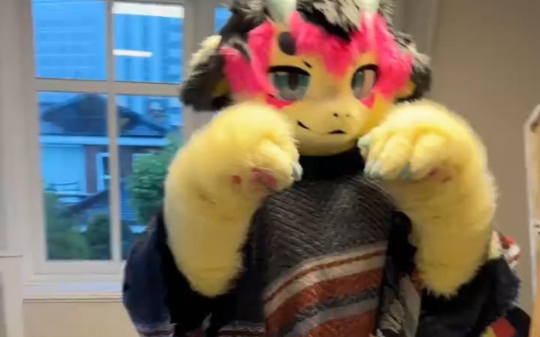 一只正在练习喵拳拳击自卫的兽人