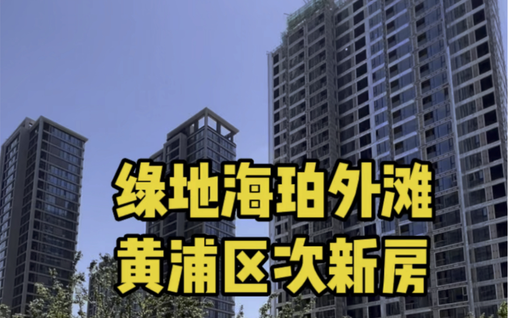 黄浦区次新房 绿地海珀外滩 290平方4房2厅4卫 人车分流设计哔哩哔哩bilibili