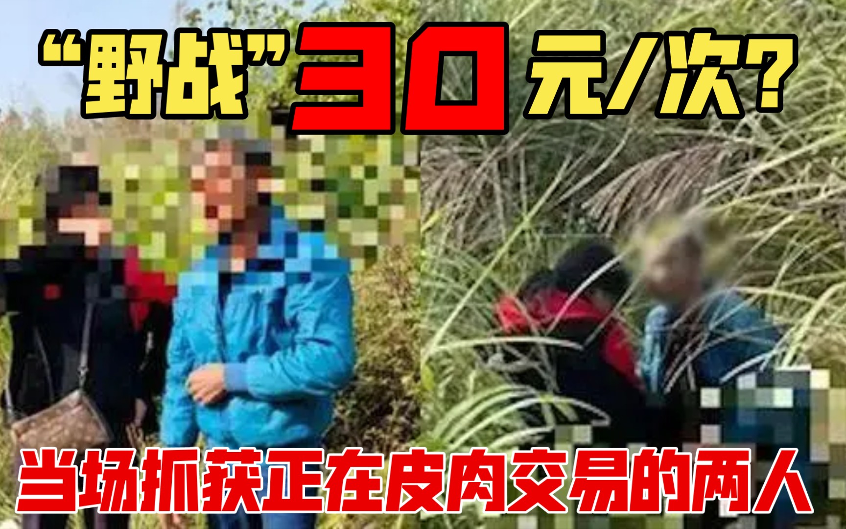 女子野战30元一次,在草丛与大爷正在皮肉交易被当场抓获!哔哩哔哩bilibili