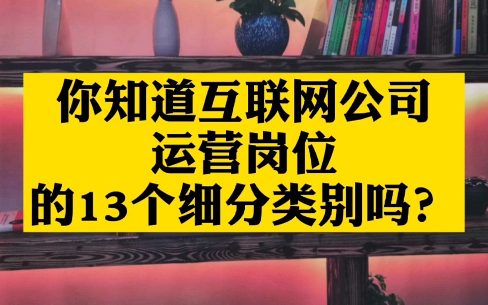 有大学应届毕业生问互联网公司的运营工作有哪些?这13个方向你知道吗?哔哩哔哩bilibili