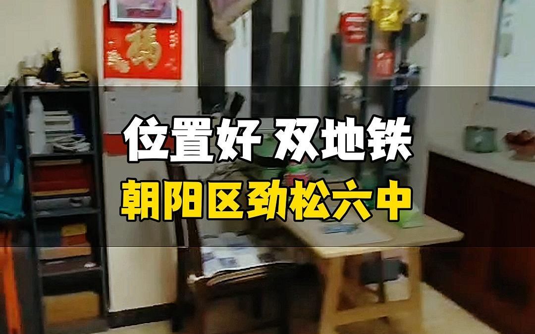 潘家园东里 双地铁 交通便利 配套成熟 0中介费哔哩哔哩bilibili