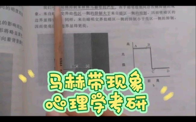 库存|心理学考研&普通心理学&马赫带现象——贼细贼细的讲解哔哩哔哩bilibili