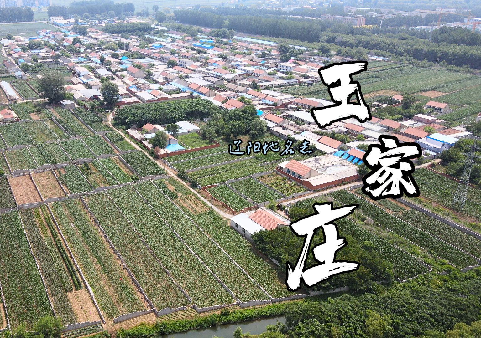 文圣区东京陵街道王家庄,祖居该村居民以王姓人家居多而得名哔哩哔哩bilibili